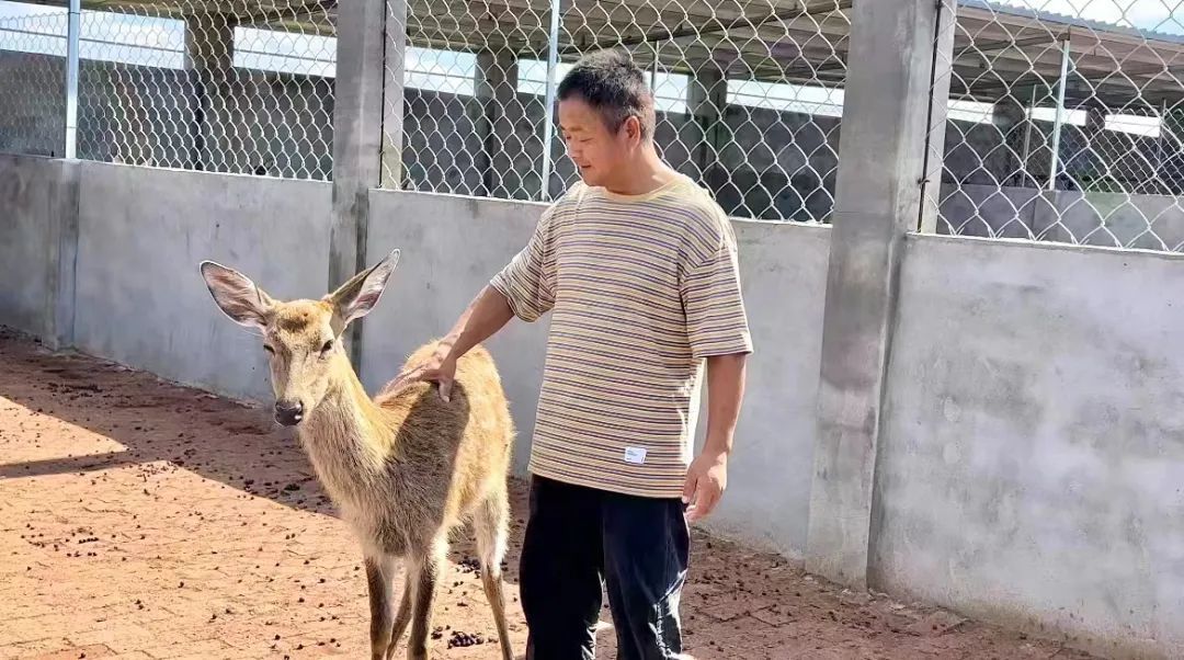 奔驰宝马游戏首页